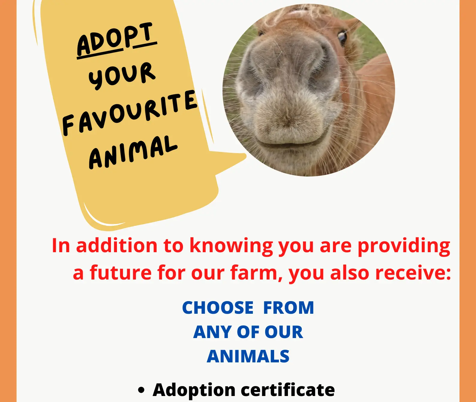 Flyer promoting the 'Adopt Your Favourite Animal' program