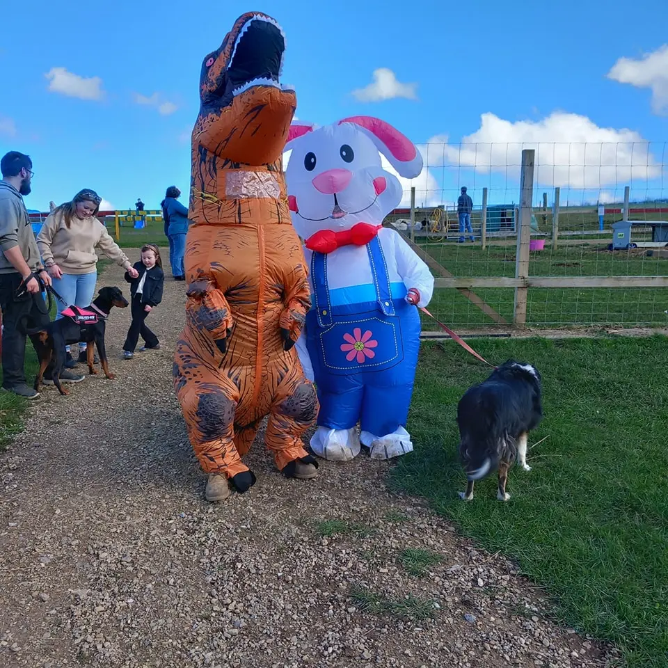 People at a farm event with a T-Rex costume, a bunny costume, and dogs on leads under a bright blue sky.