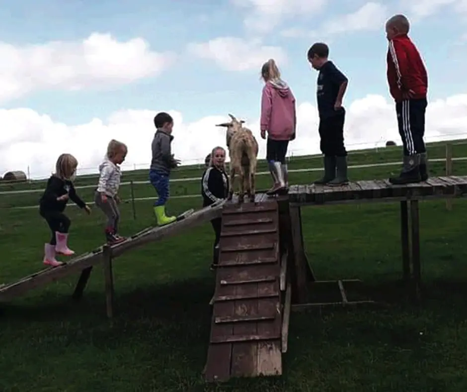 Group of young children wearing wellies climbing a wooden ramp structure outdoors, following a goat, under a cloudy sky.