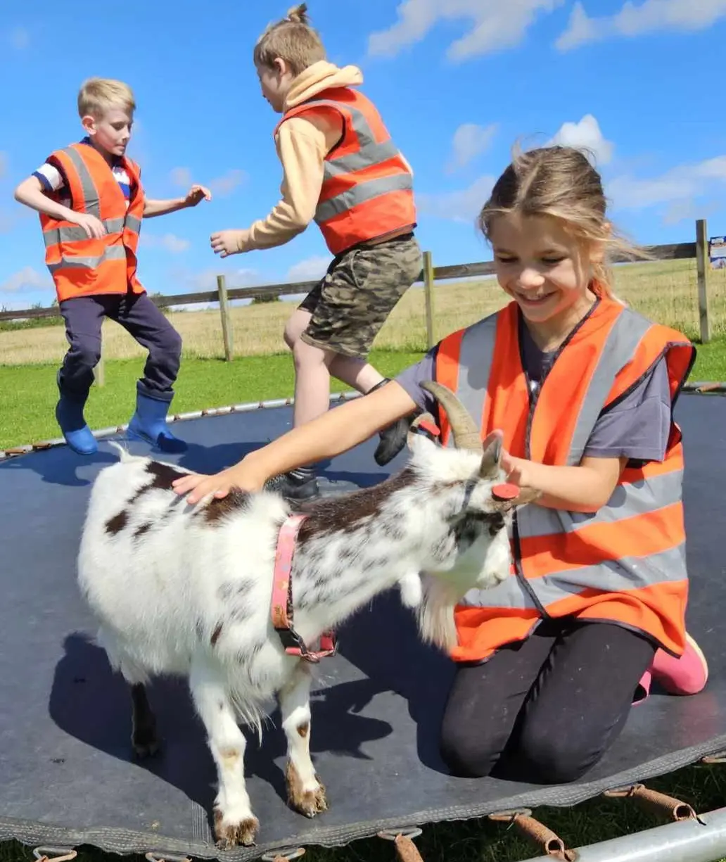 Kids petting goats