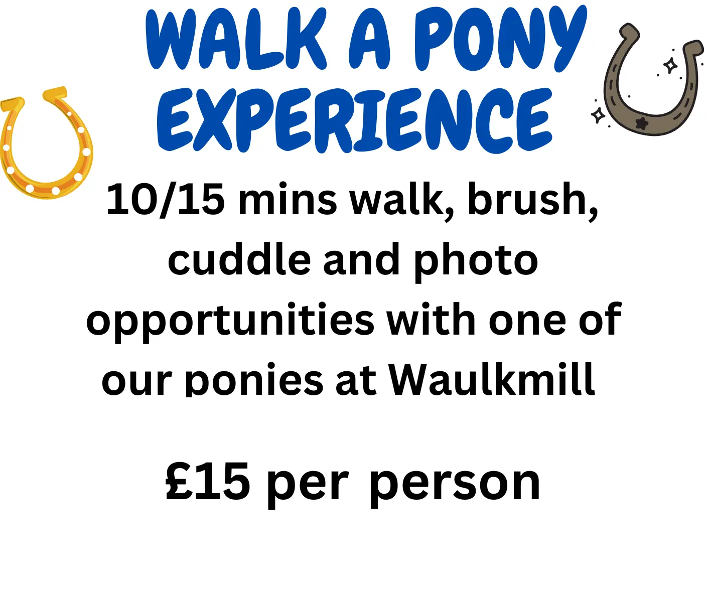 Walk a Pony Experience at Waulkmill — 10-15 minutes with a pony for £15 per person